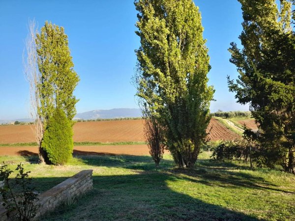 terreno agricolo in vendita a Velletri