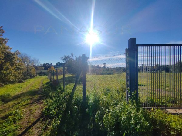 terreno agricolo in vendita a Velletri
