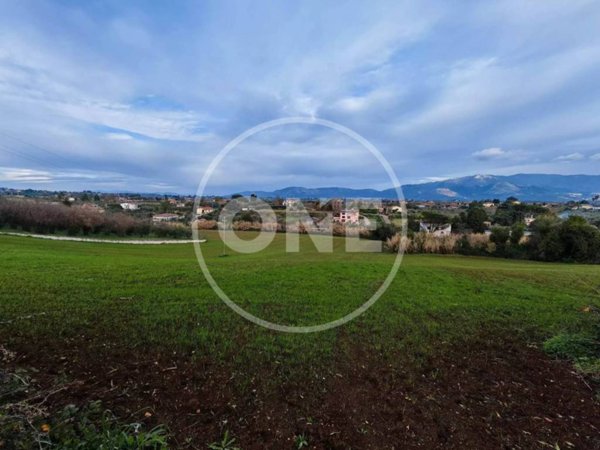 terreno agricolo in vendita a Velletri