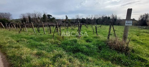 terreno agricolo in vendita a Velletri