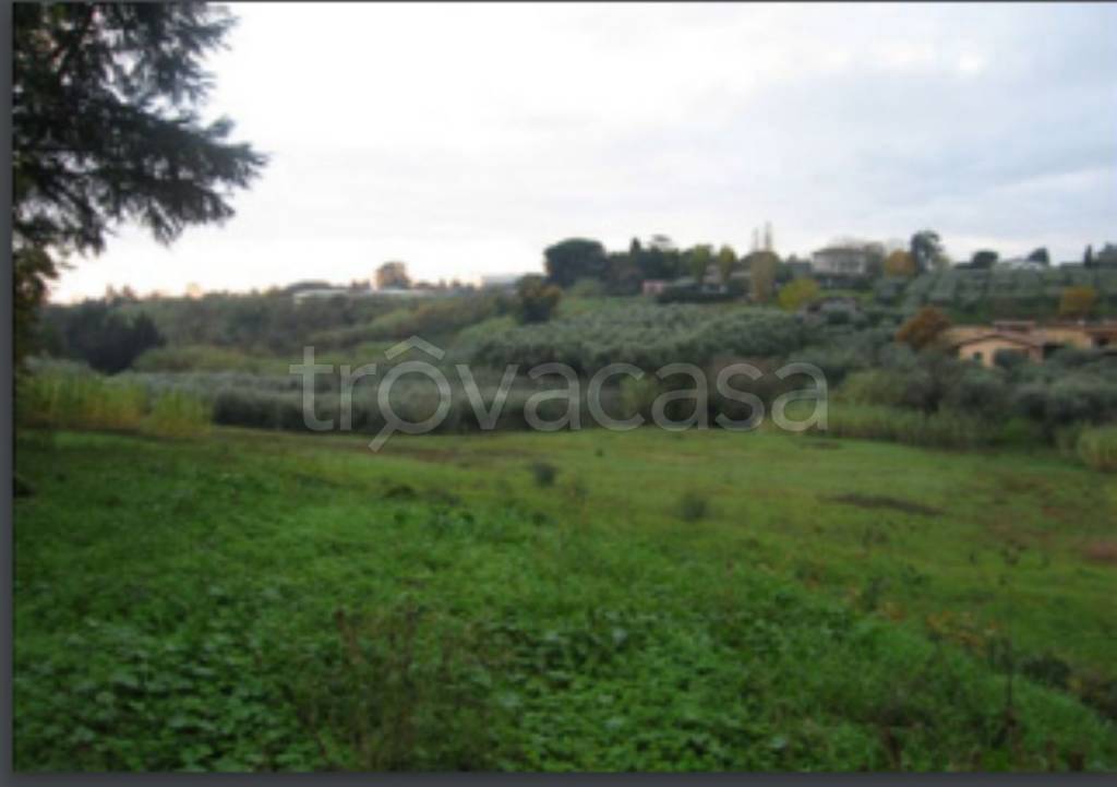 terreno agricolo in vendita a Velletri