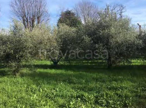 appartamento in vendita a Velletri