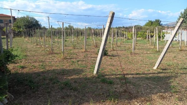 terreno agricolo in vendita a Velletri