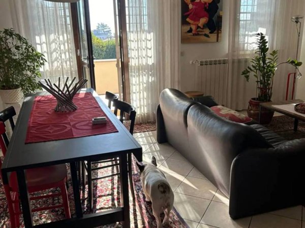 appartamento in vendita a Velletri