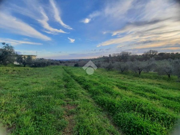 terreno agricolo in vendita a Velletri