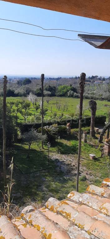 terreno agricolo in vendita a Velletri