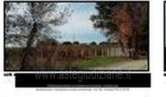 terreno agricolo in vendita a Velletri