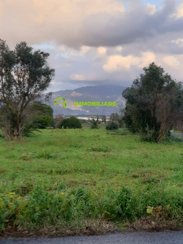 terreno agricolo in vendita a Velletri