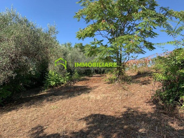 terreno agricolo in vendita a Velletri