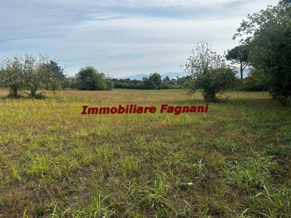 terreno agricolo in vendita a Velletri