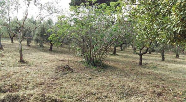 appartamento in vendita a Velletri