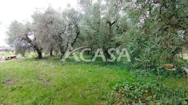 casa indipendente in vendita a Velletri