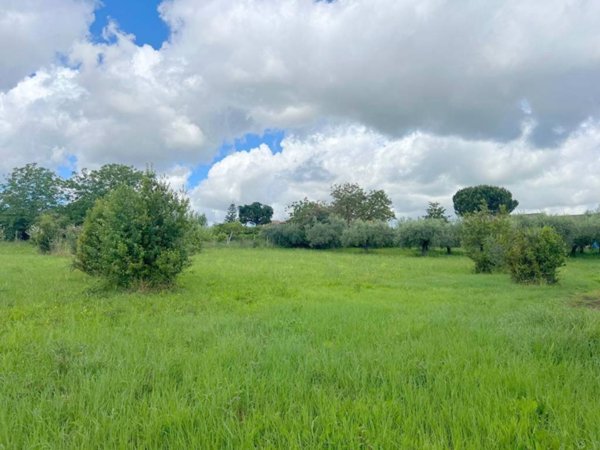 terreno agricolo in vendita a Velletri