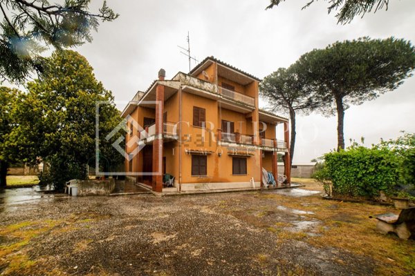 esavano in vendita a Velletri