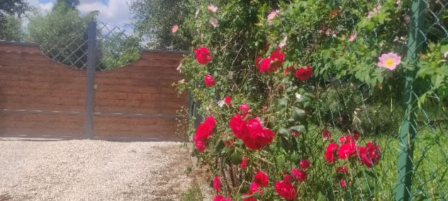 appartamento in vendita a Velletri