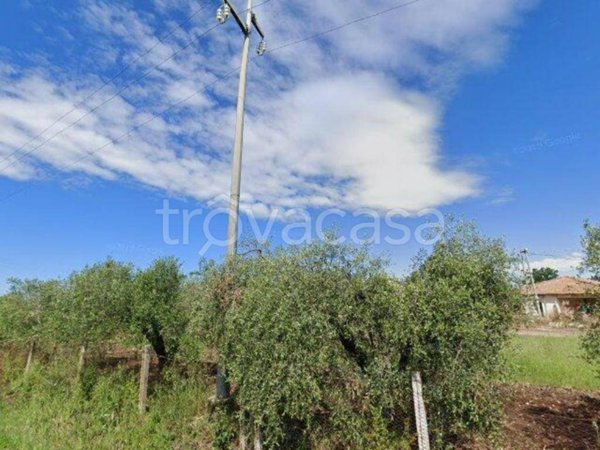 terreno agricolo in vendita a Velletri