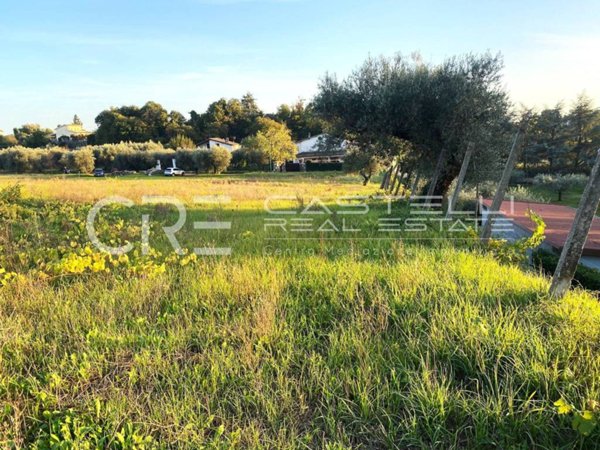 terreno agricolo in vendita a Velletri