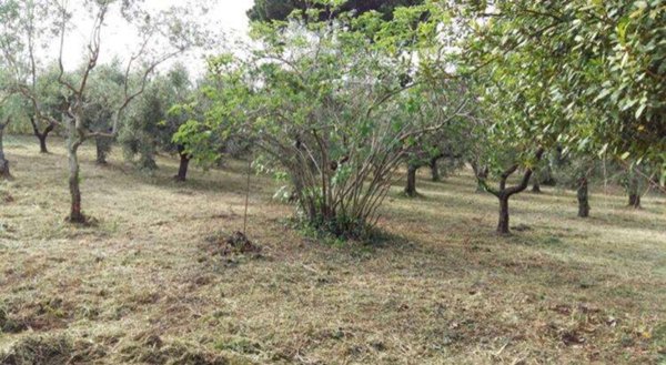 appartamento in vendita a Velletri