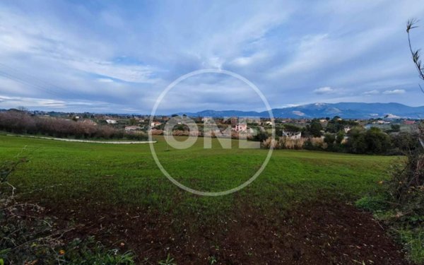 terreno agricolo in vendita a Velletri