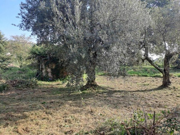 terreno agricolo in vendita a Velletri