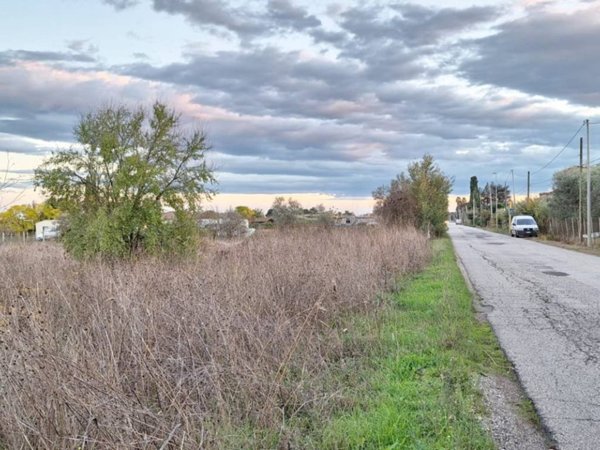 terreno agricolo in vendita a Velletri
