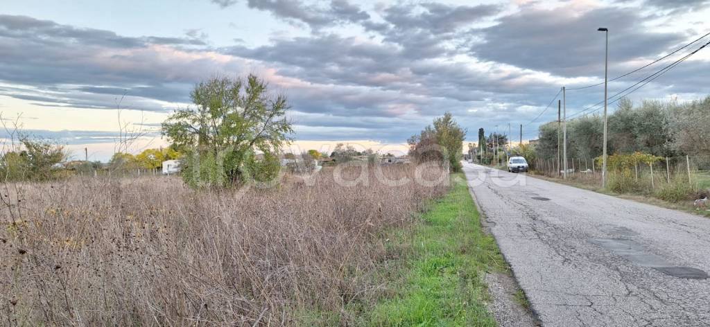 terreno agricolo in vendita a Velletri