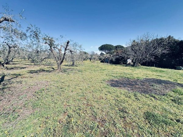casa indipendente in vendita a Velletri