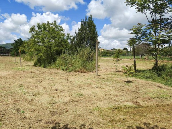terreno agricolo in vendita a Velletri