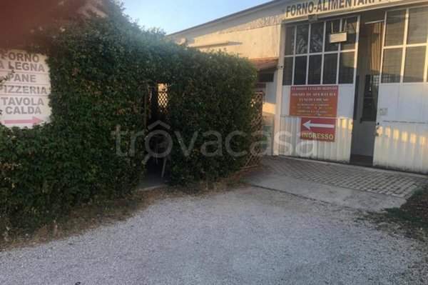 negozio in vendita a Velletri