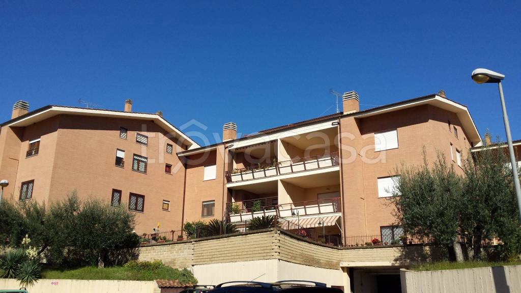 negozio in vendita a Velletri