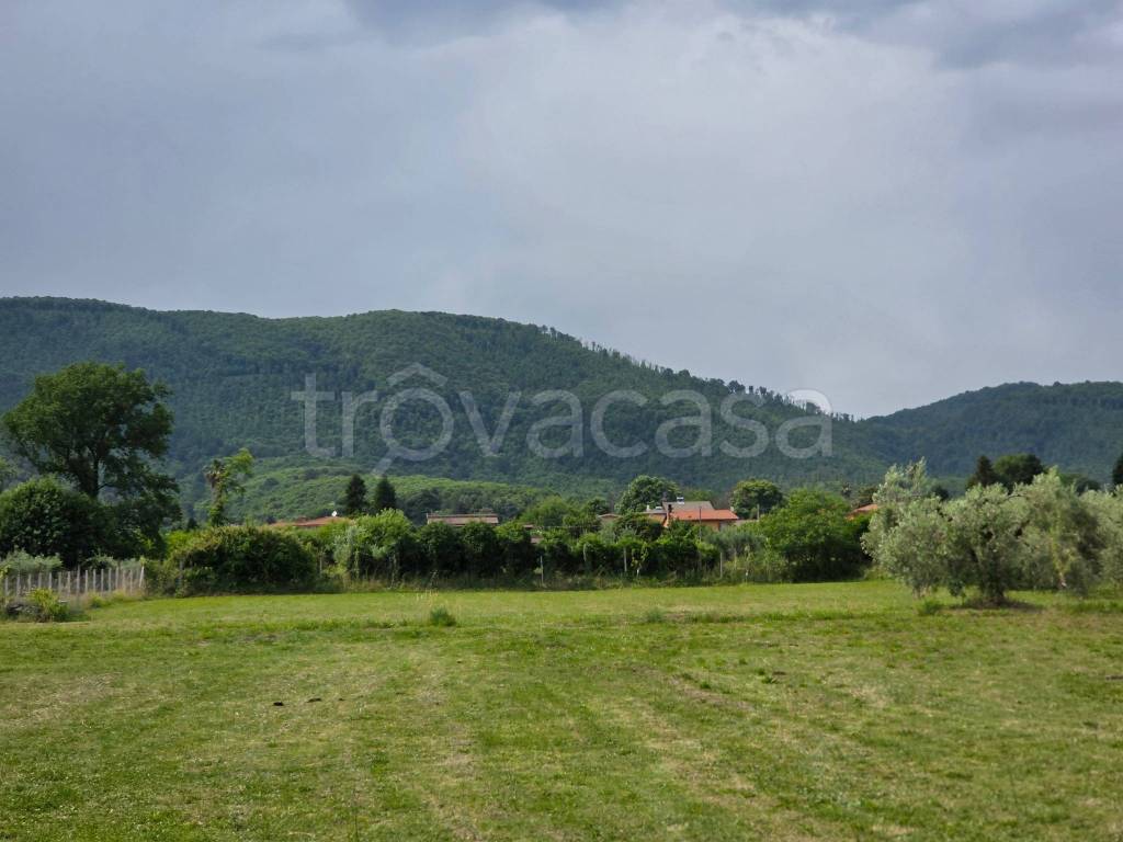terreno agricolo in vendita a Velletri