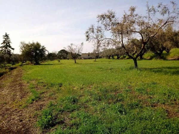 terreno agricolo in vendita a Velletri