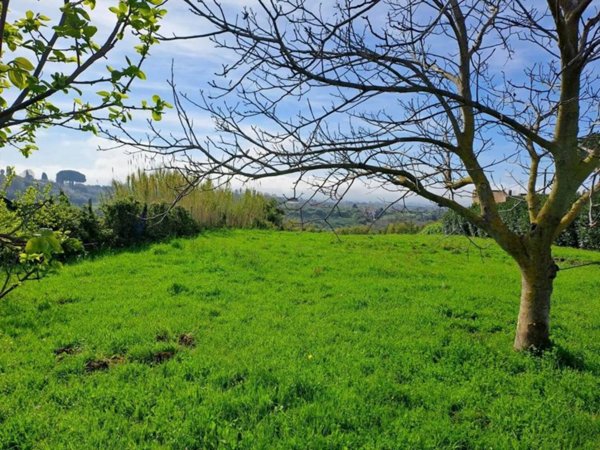 terreno agricolo in vendita a Velletri