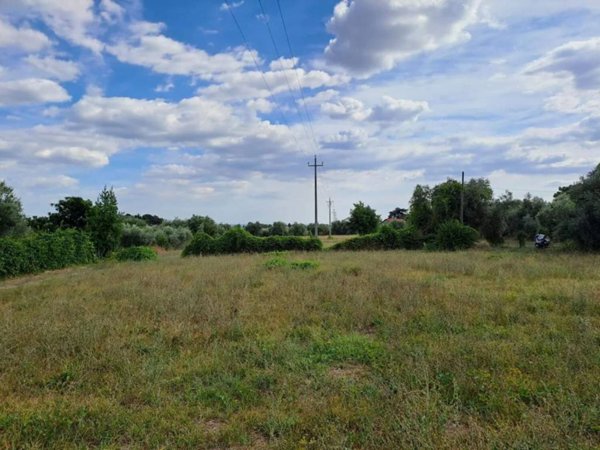 terreno agricolo in vendita a Velletri