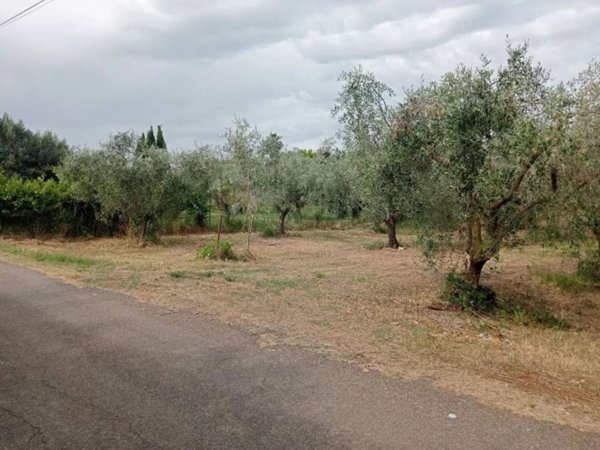 terreno agricolo in vendita a Velletri