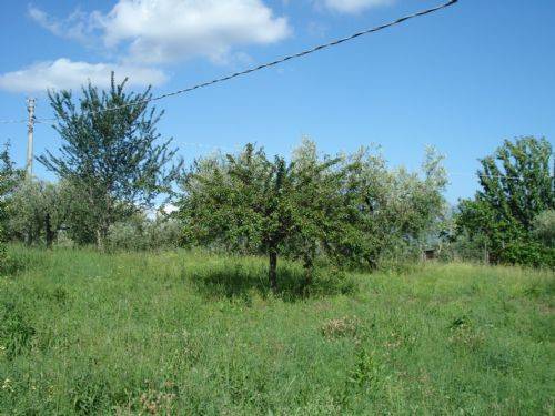 terreno agricolo in vendita a Velletri
