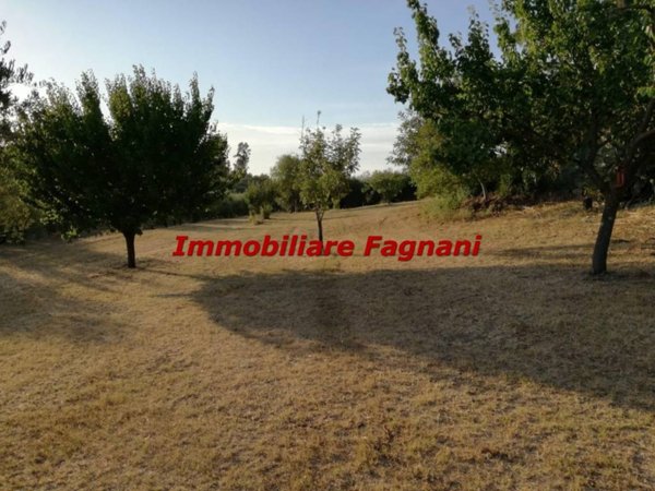 terreno agricolo in vendita a Velletri