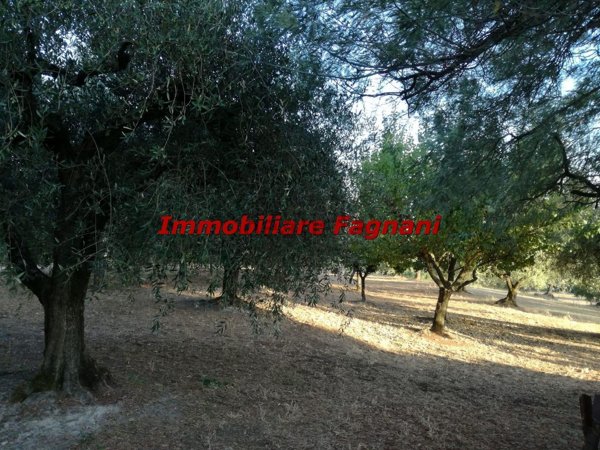 terreno agricolo in vendita a Velletri