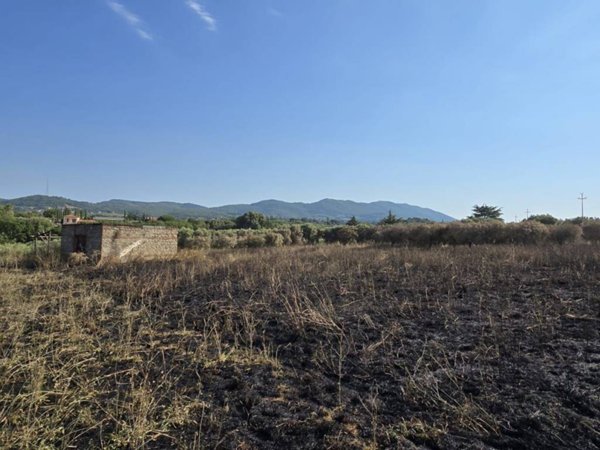 terreno agricolo in vendita a Velletri
