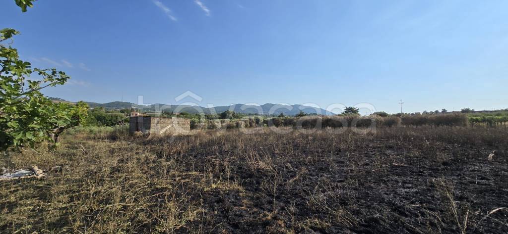 terreno agricolo in vendita a Velletri