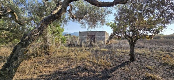 terreno agricolo in vendita a Velletri