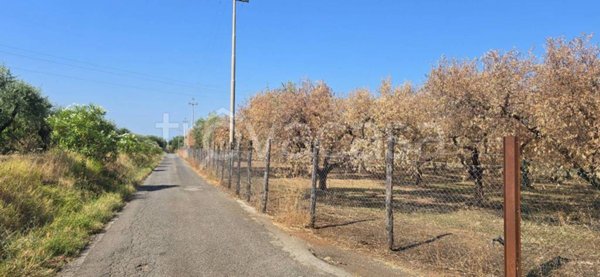 terreno agricolo in vendita a Velletri