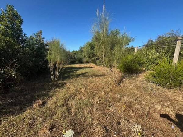 terreno agricolo in vendita a Velletri