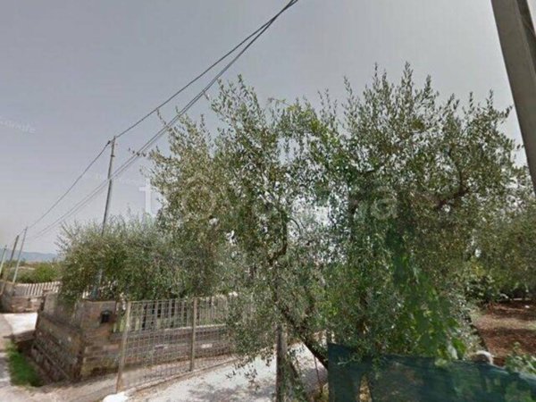 appartamento in vendita a Velletri