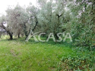 casa indipendente in vendita a Velletri
