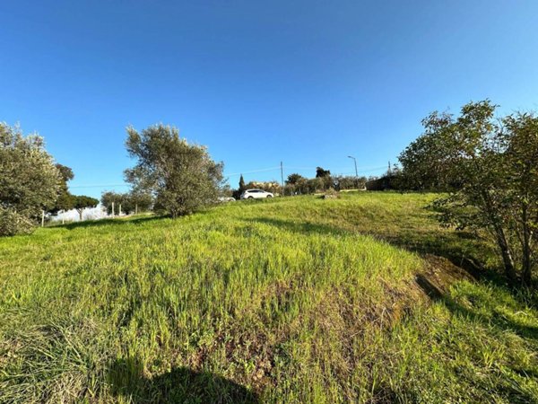 terreno agricolo in vendita a Velletri