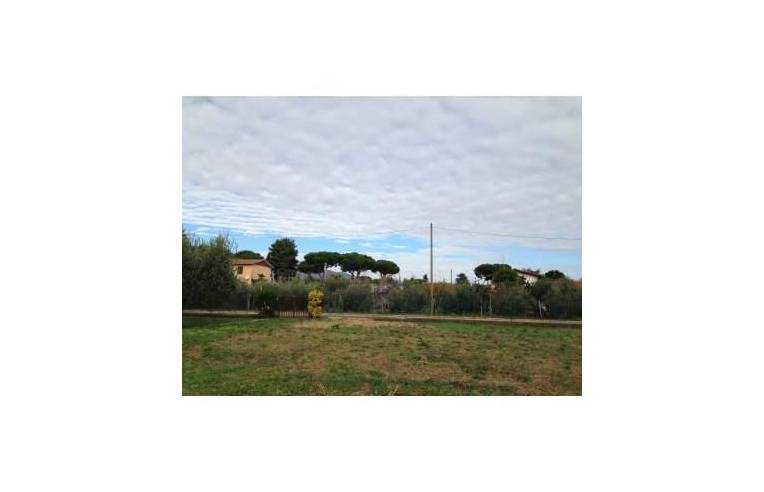 terreno agricolo in vendita a Velletri