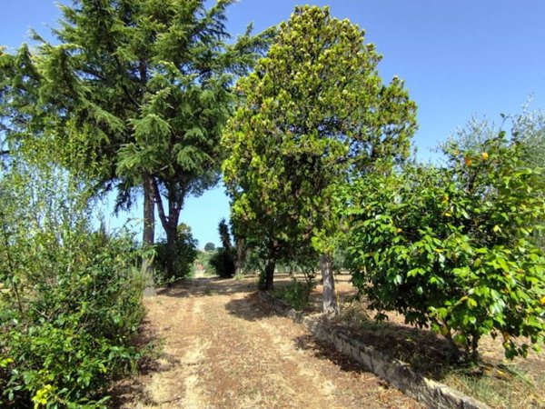 casa indipendente in vendita a Velletri