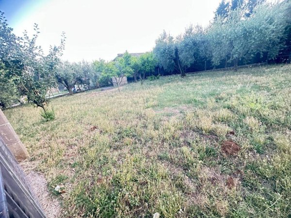 terreno agricolo in vendita a Velletri