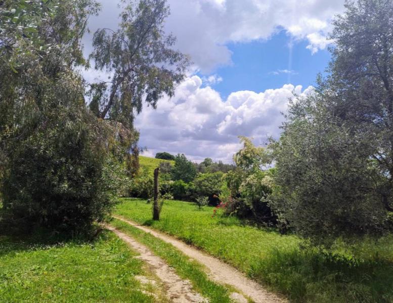 casa indipendente in vendita a Velletri